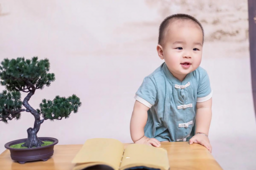 永安可爱的企鹅宝宝